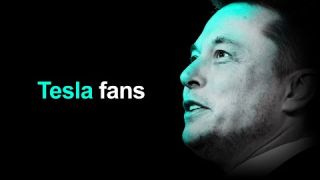 Tesla Fans Are Convincing The World To Buy The Stock (reaction video) NSFW!